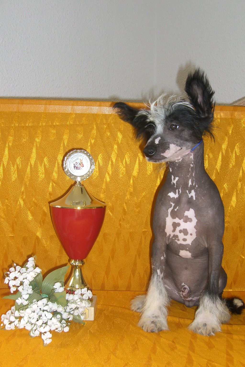 Batist-Harro Chinesische Engel