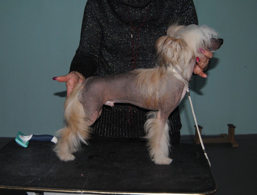 Sapfir iz Tsarskogo Sela Efim