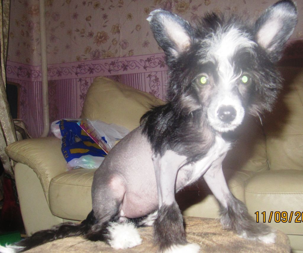 Izyah'naya Izuyminka Bekki