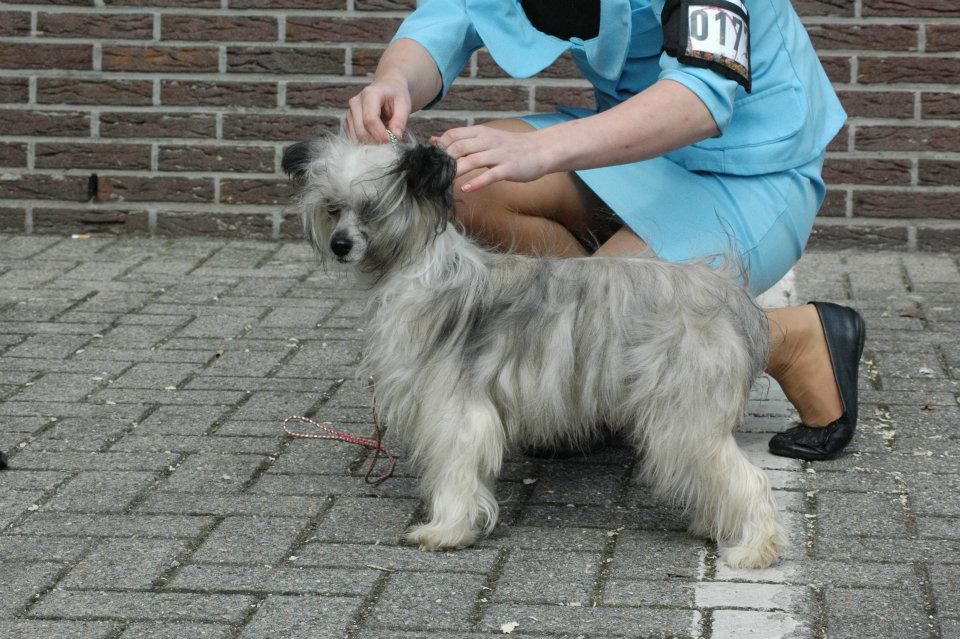 Happy Dancing Natural Nirwana