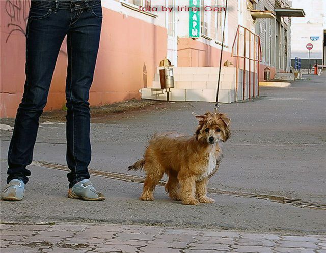 Zemliy Nadezdi Beliy Onicks