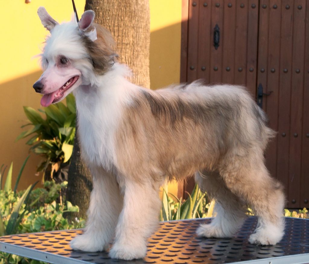 Omegaville Picture Me Too