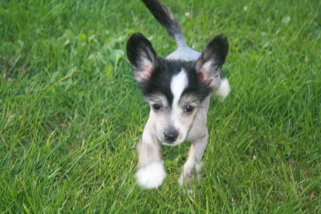 Nudaveritas Crystal Noir