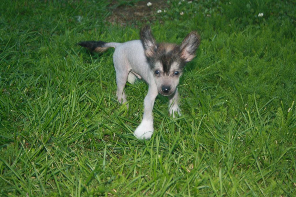 Nudaveritas Curious In Control