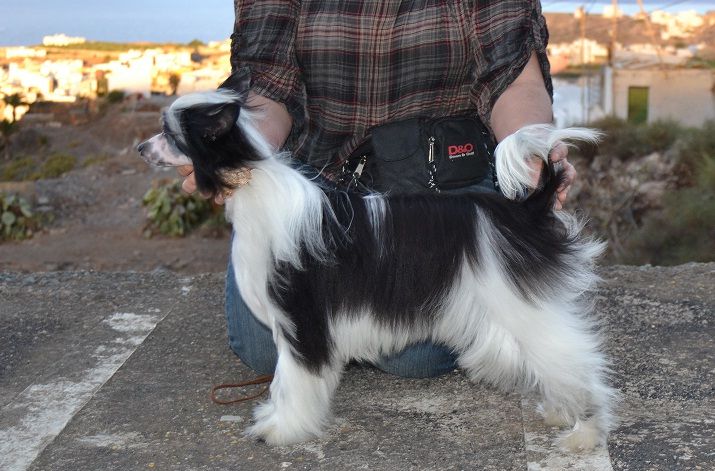 Gredel del Templo de los Dioses