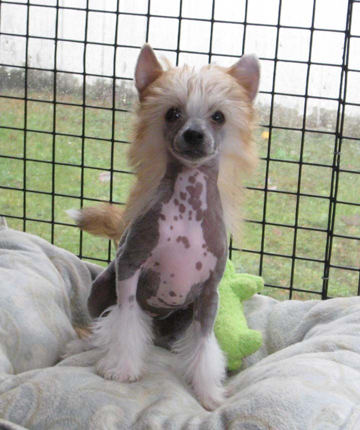 Jewels Leave Them All Behind