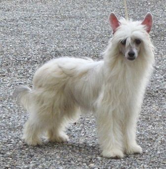 Evita Peron at Lady Ml