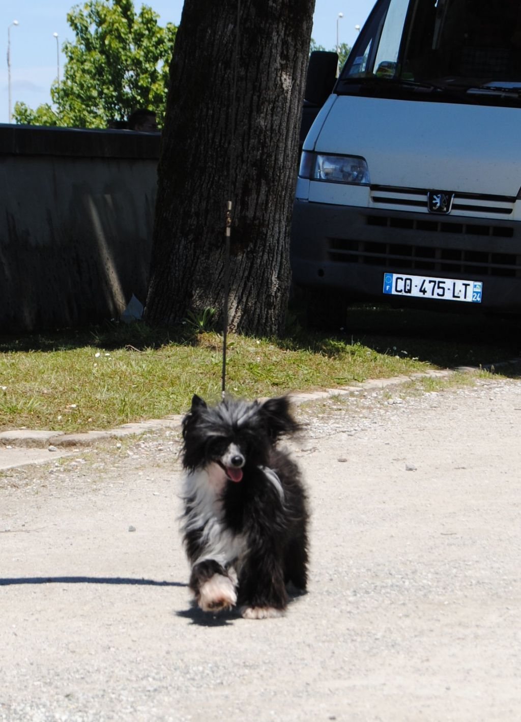 Moon Harbour Glamour Puss