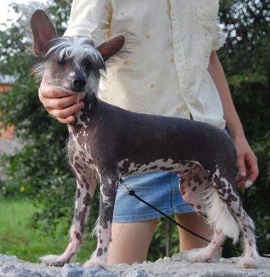 Vuki SenVay