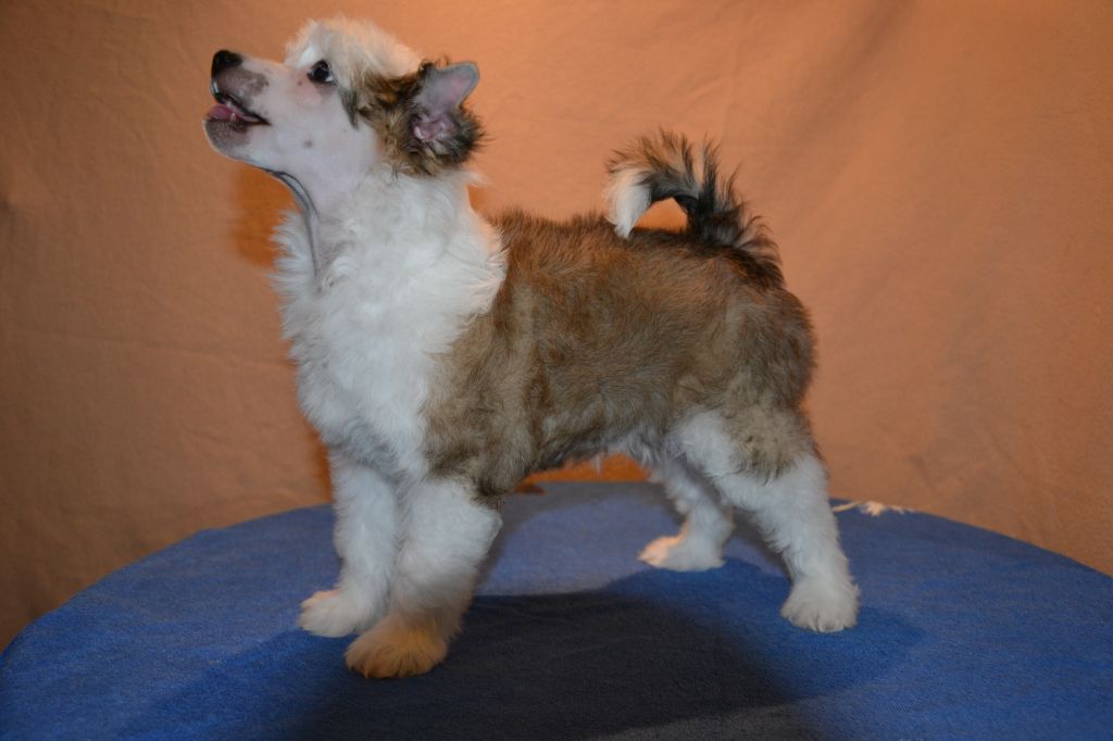 De La Mahafu's LittleWet Joy.