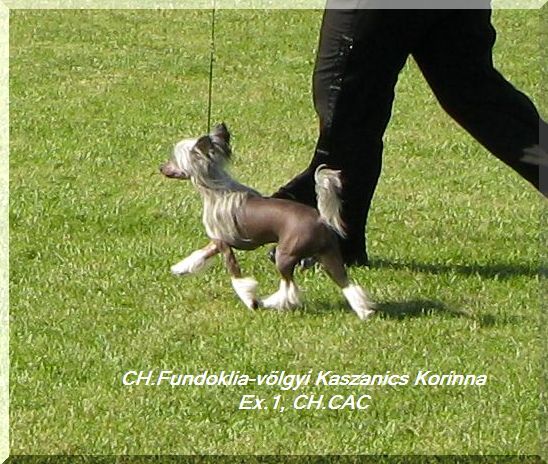 Fundoklia-völgyi Kaszanics Korinna