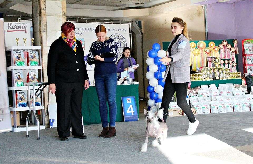 Dogland Happy Zhanotan