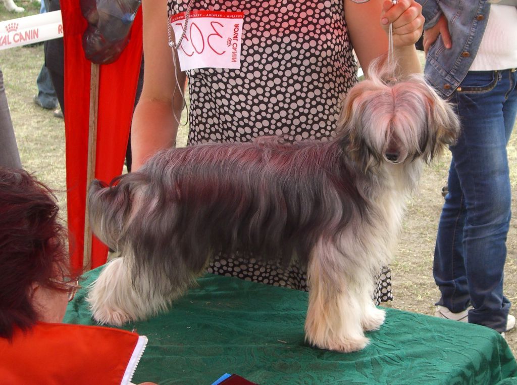 Pleasant Gift Of Skies Dorozhe Zolota