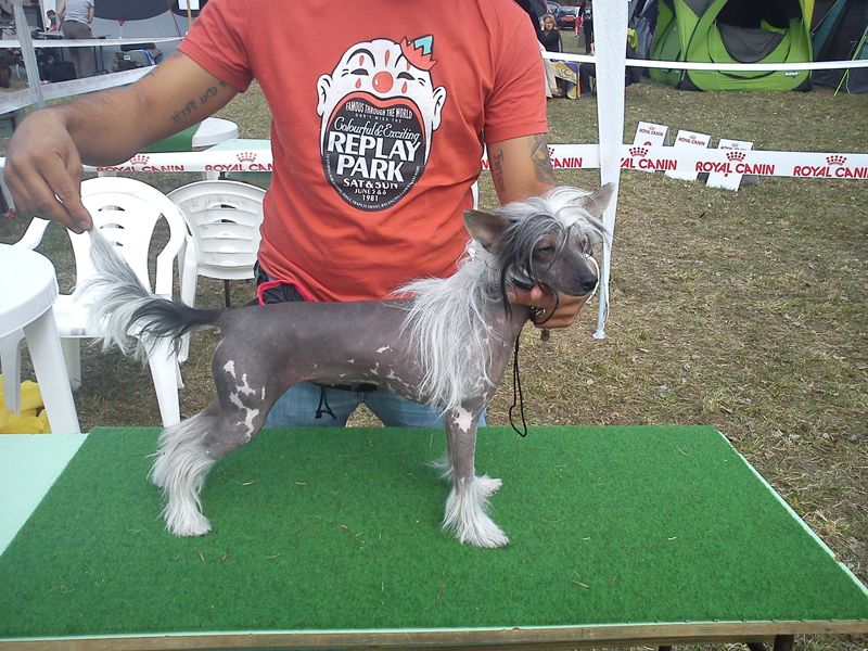 Fundoklia-völgyi Kaszanics Lucretia Borga