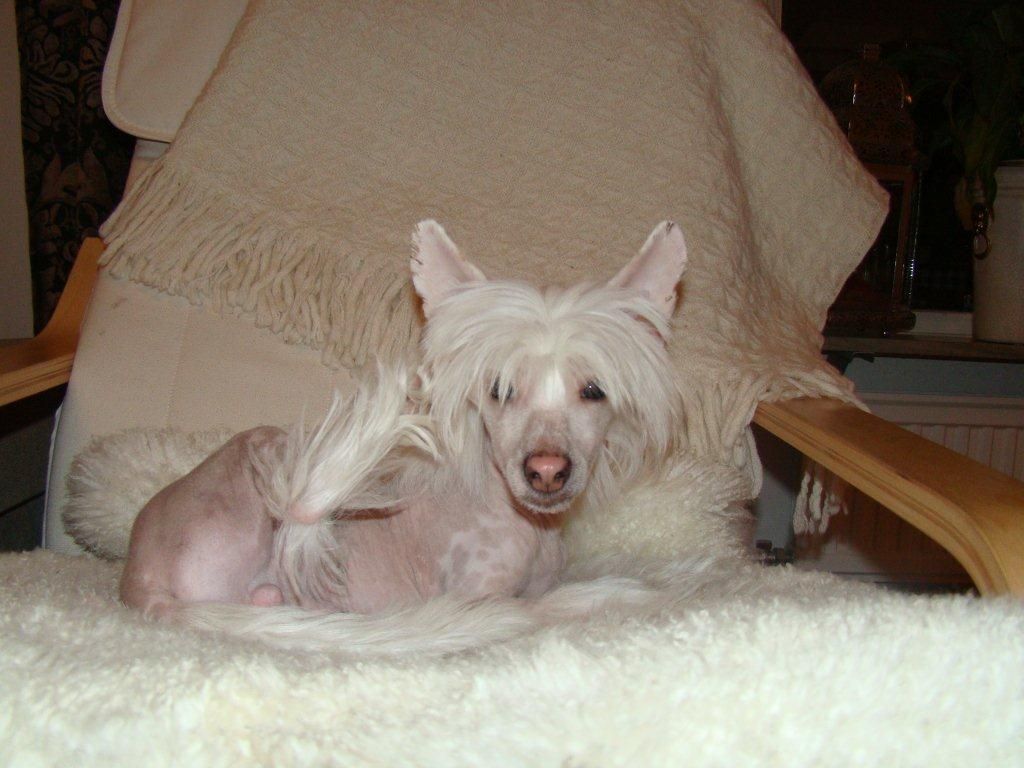 Baby Pearl Peak Performance