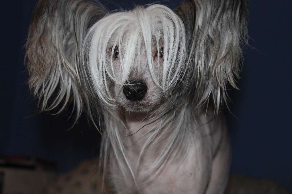 Yrar No one is alone