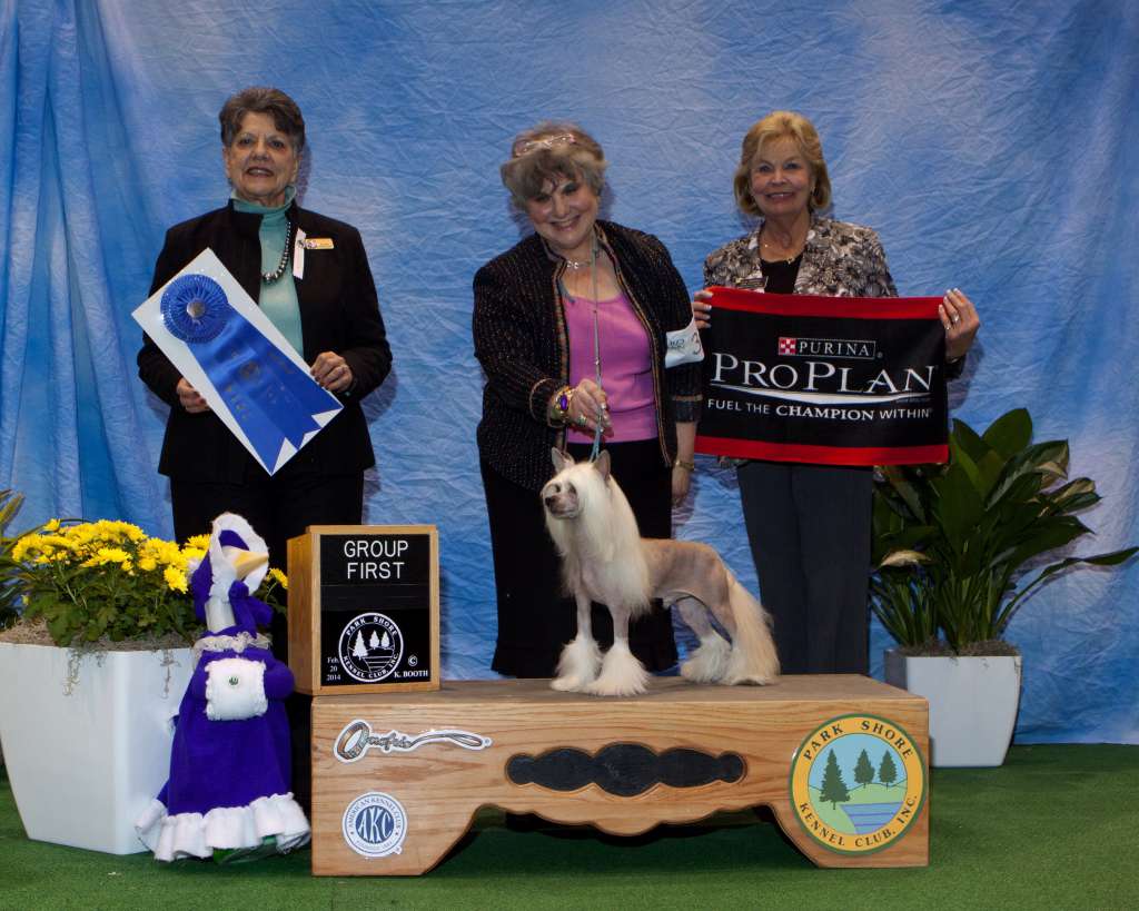 Deja Vu I Want'A Talk About Me