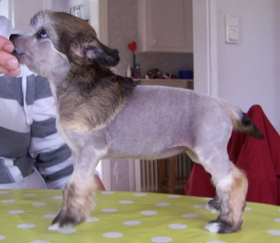 Blonkbergets Pärlan