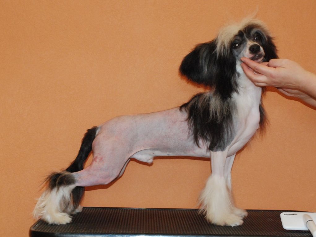 My Lucky Love Great Guy 