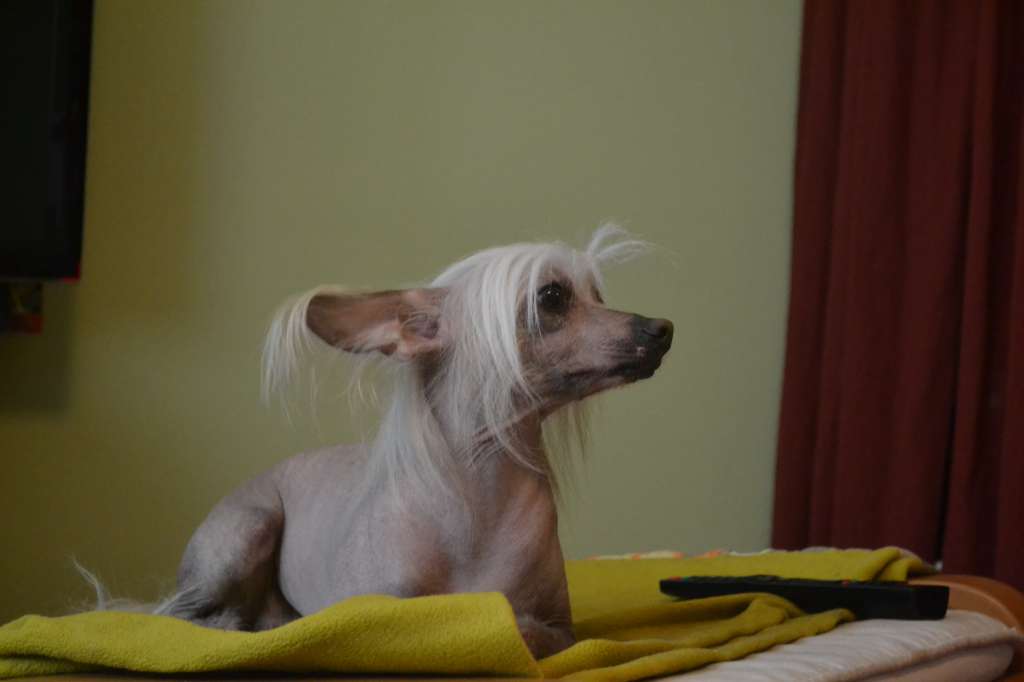 Landkris Be Milky Way