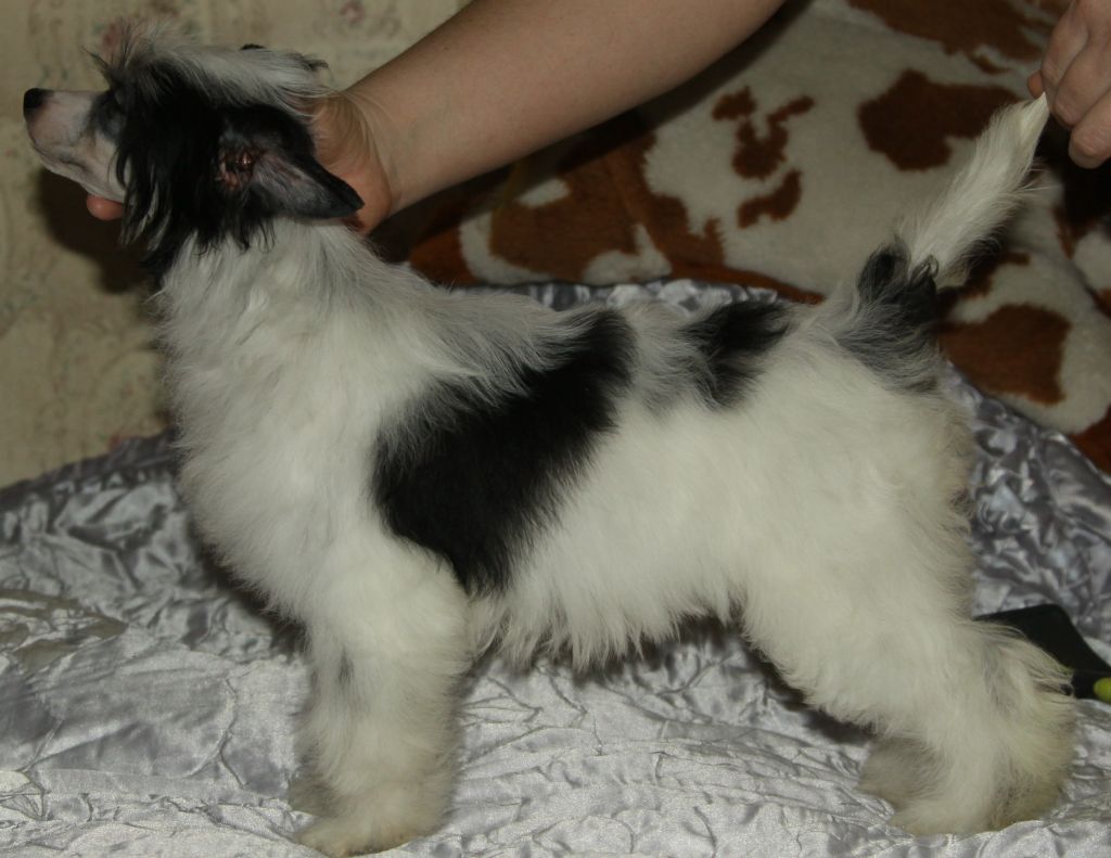 Premier Mari Jozefina