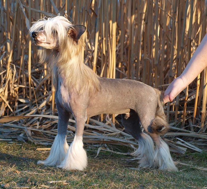 Armani ze Zatopené chajdy