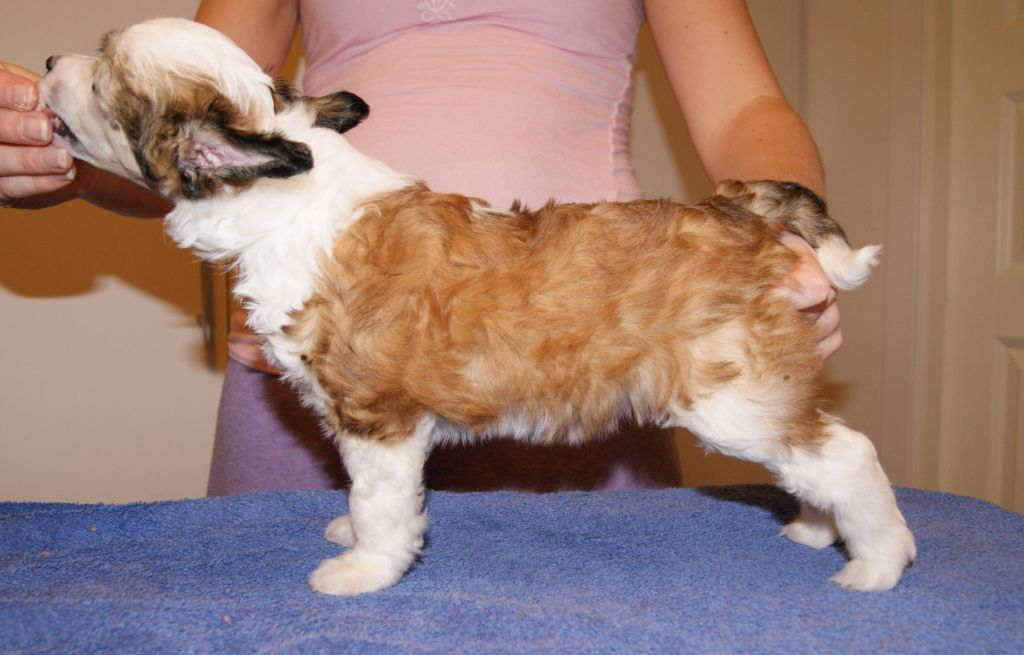 Moelmo's Kiss and Tell