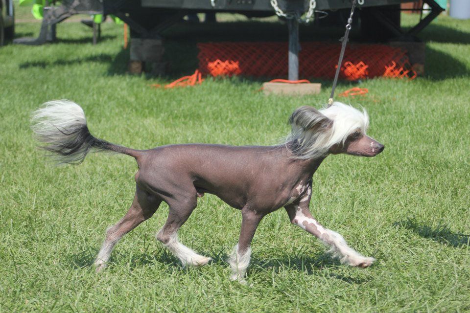 Nina's K Brokers Tip