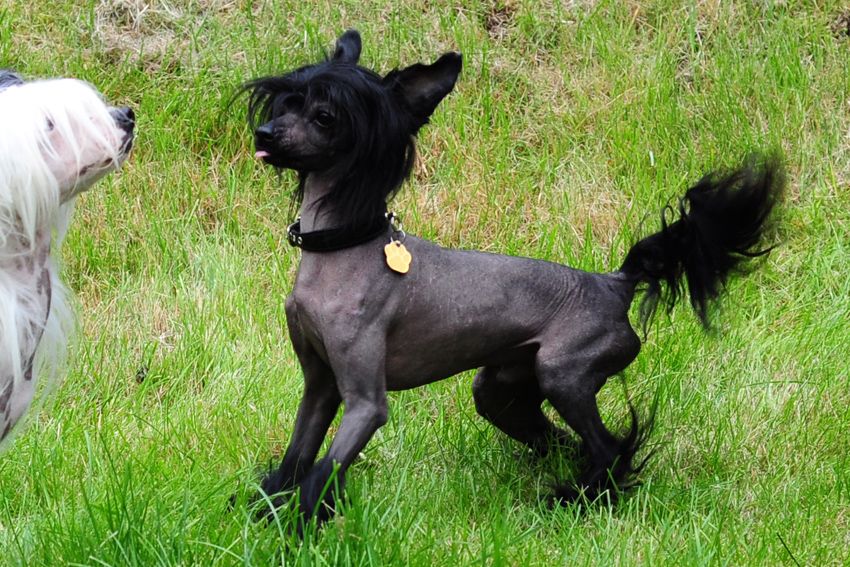 Practical Hero Home Alone