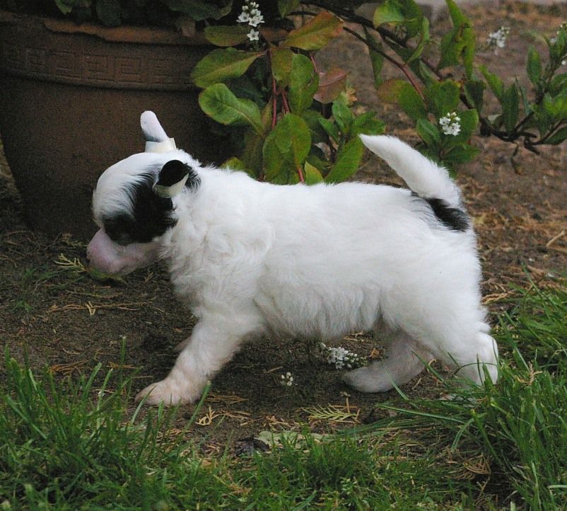 Naf Naf  von Shinbashi