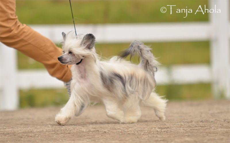 Arte Figure Gossip Folks