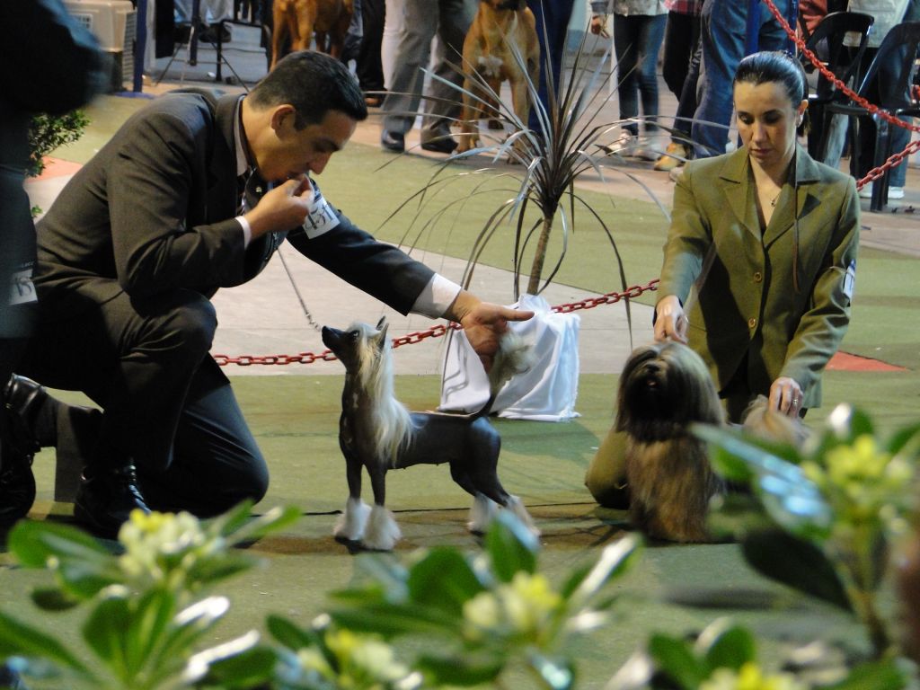 Solino's Znap Shot To Falazairroo