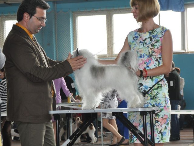 Armani Sharm Dreamy Eyes