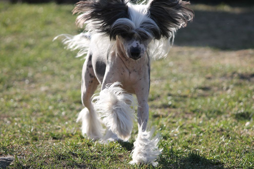 Kiara Dream Bikam Bay Reality