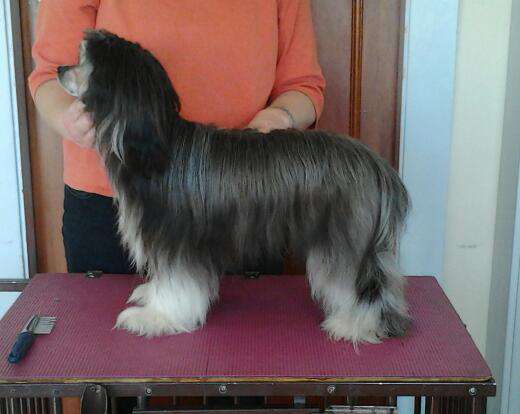 Sonniema My Girl Lollie Pop