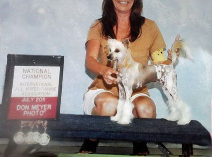 Sakkarra Nothing But the Radio On