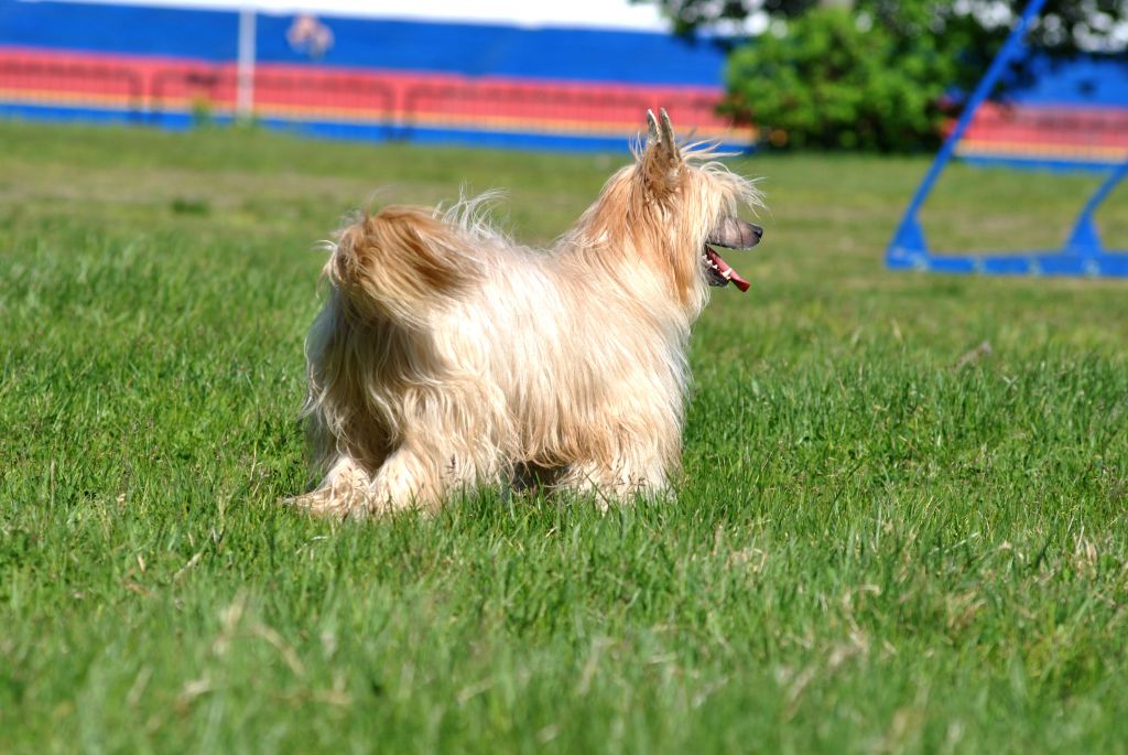 Grand Sunlife Konstans Kjanti