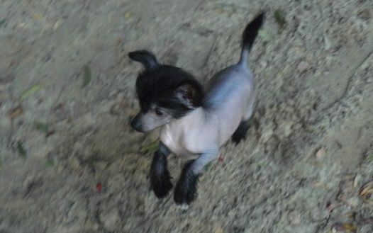 Kiss From Top Model De Rama