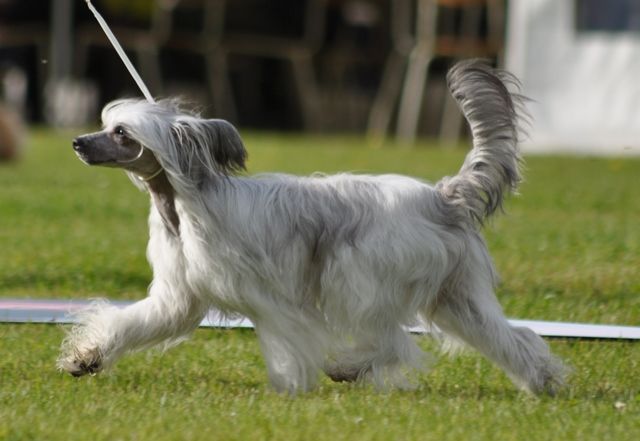 Artic Flyer's Carpe Diem