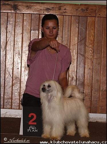 Amor Jankovské údolí