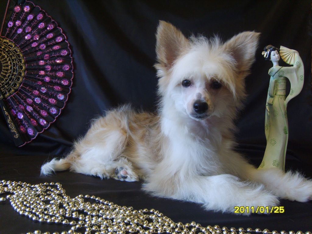 Malena Angel of My Dreams