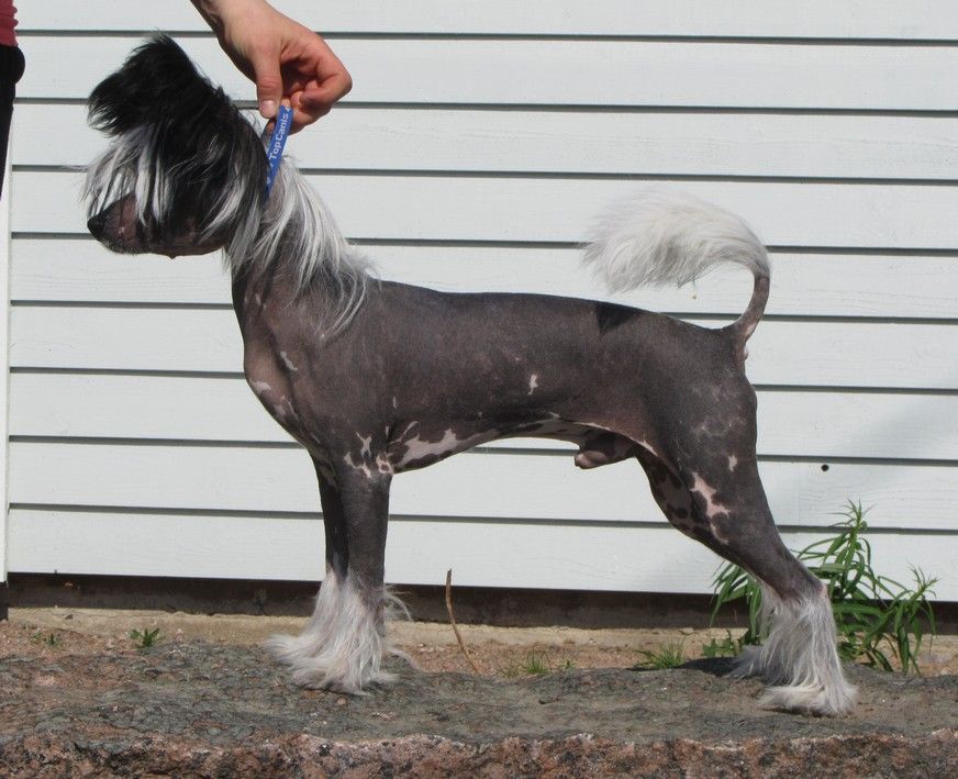 Maybell's Kissing Hunter