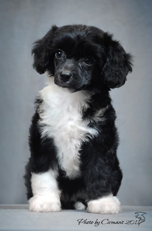 My Lucky Love Give Joy 