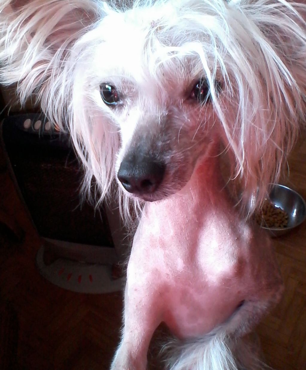 saint Christopher's magic Ohio