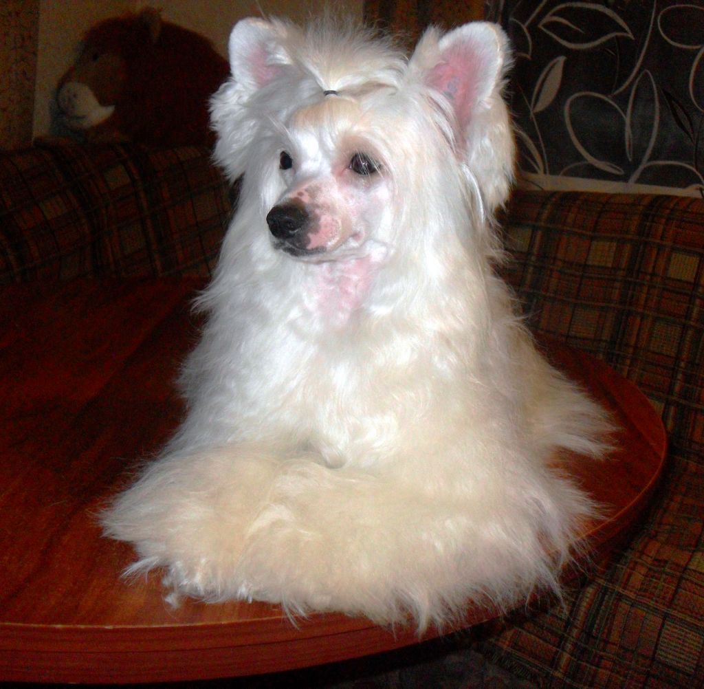 Dalilla White Lotus Zingall Roz