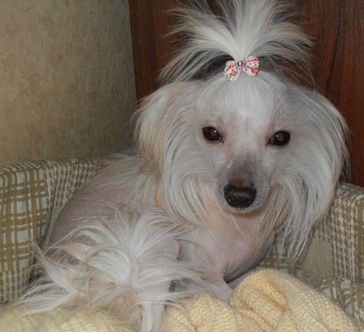 Chloe Blossom Honey