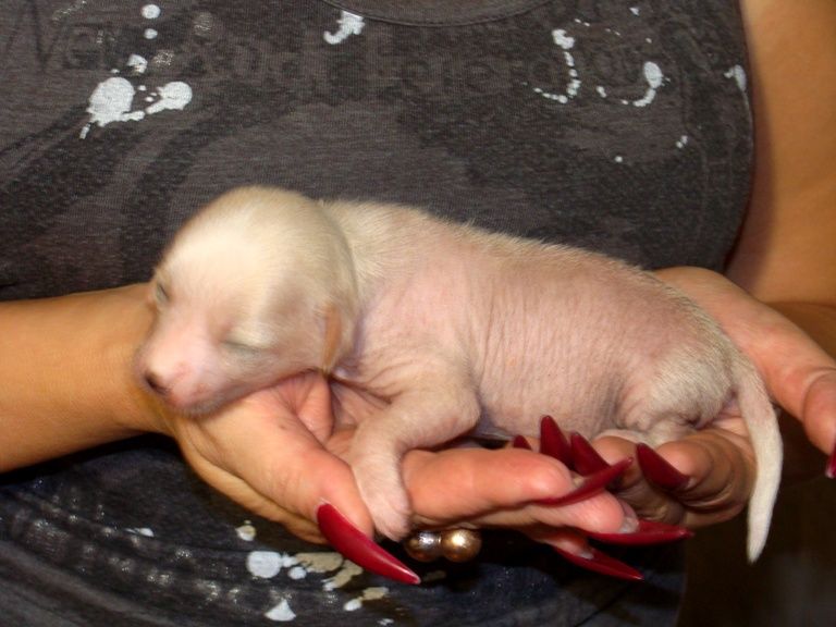 ....Black of Channel