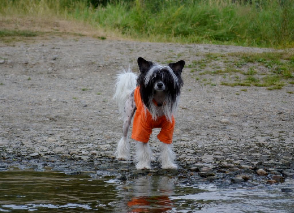 Nezhny Angel Alaska Snow Queen