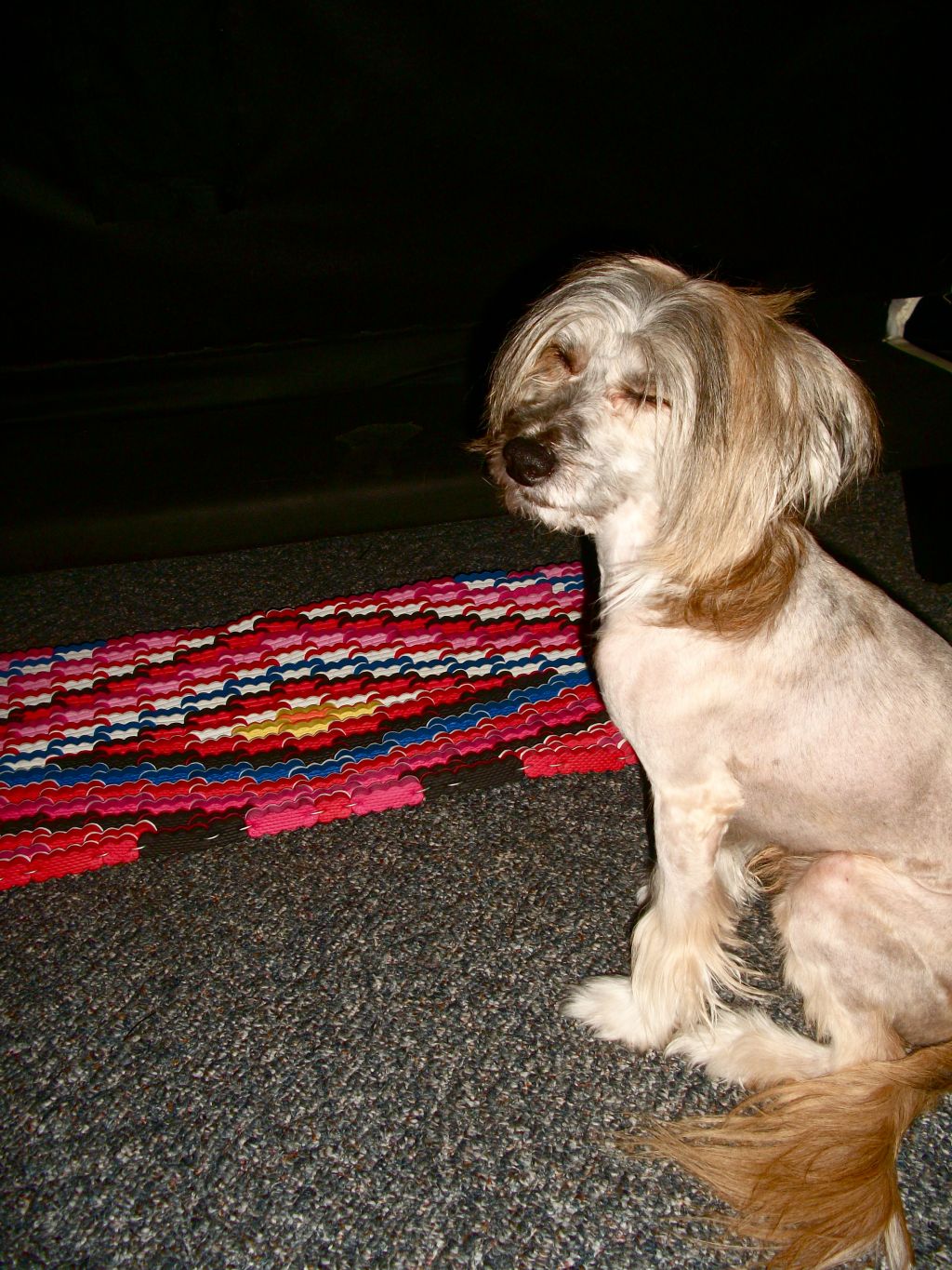 Shake that Laffy Taffy