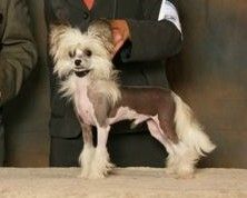 Fairway's Sabba Teeny